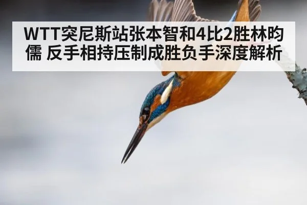 WTT突尼斯站张本智和4比2胜林昀儒 反手相持压制成胜负手深度解析